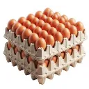 egg.webp